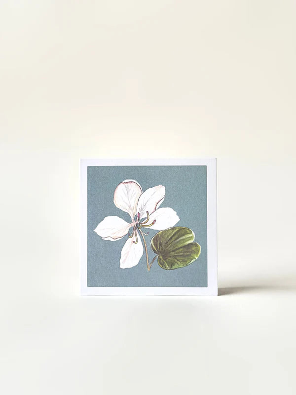 Set of 4 Greeting Cards