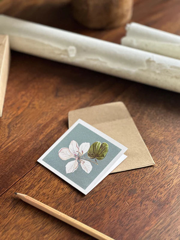 Set of 4 Greeting Cards