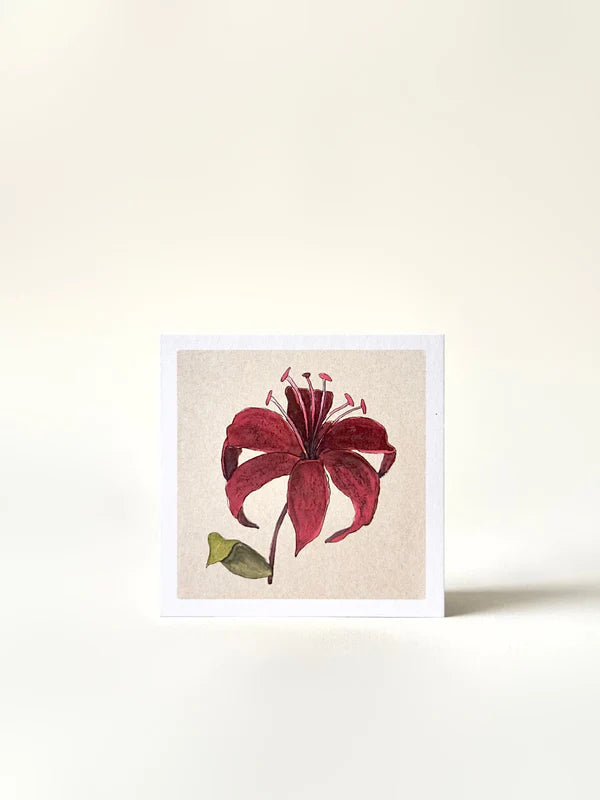Set of 4 Greeting Cards