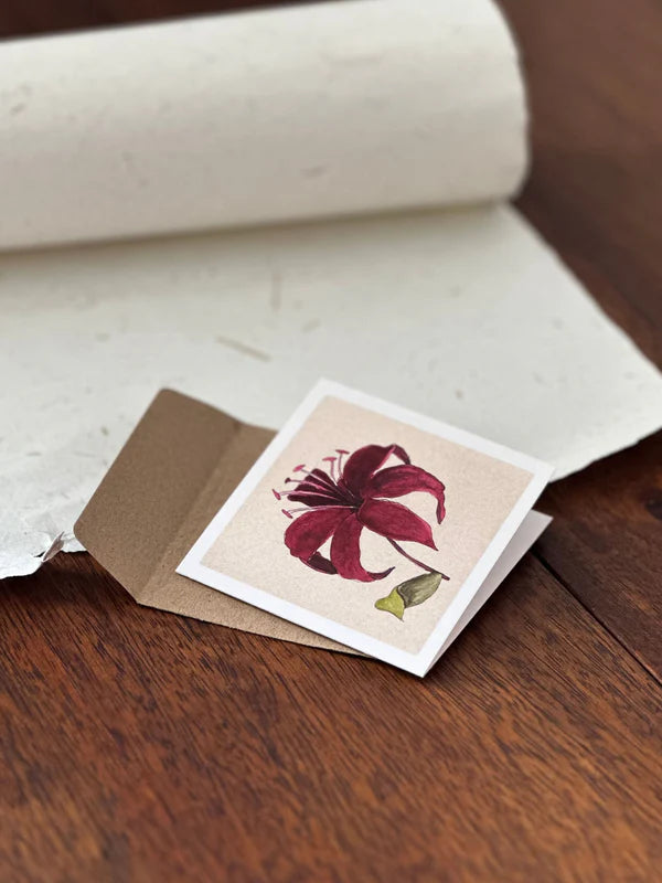 Set of 4 Greeting Cards