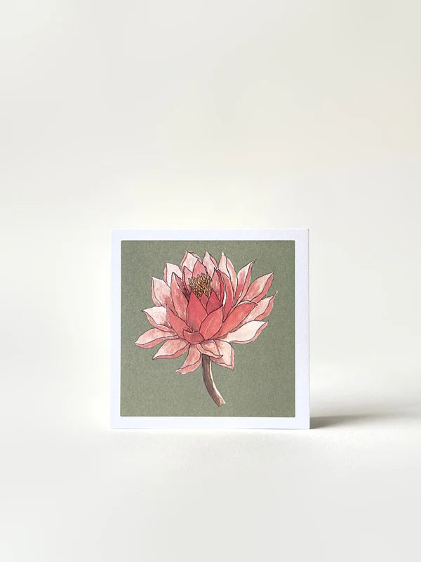Set of 4 Greeting Cards
