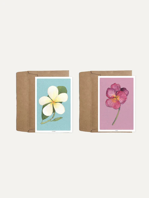Set of 8 Floral Notecards: Plumeria and Pansy