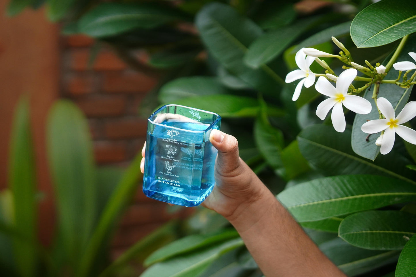 Upcycled Bombay Sapphire Glasses