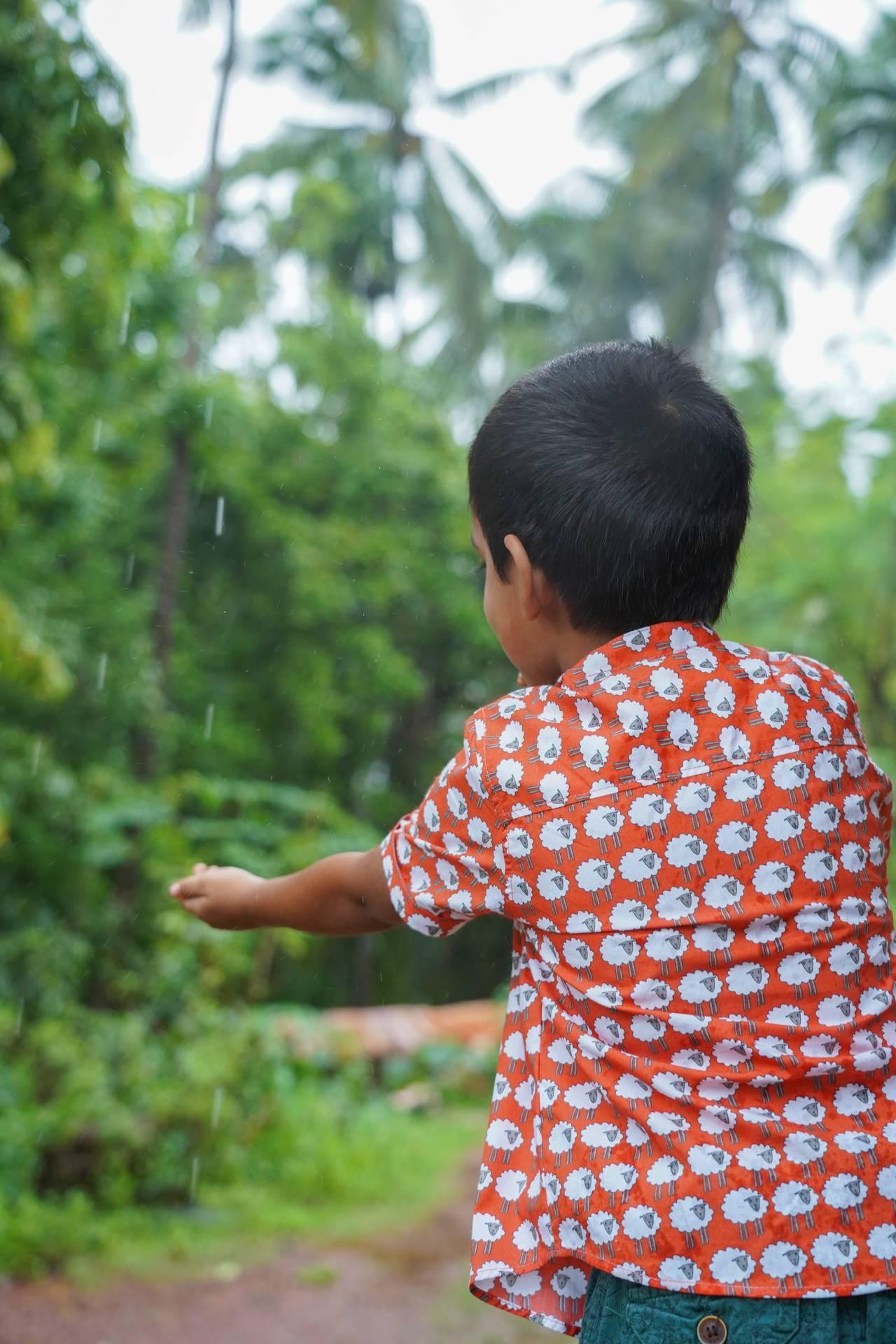 Boys sheep print red cotton shirt