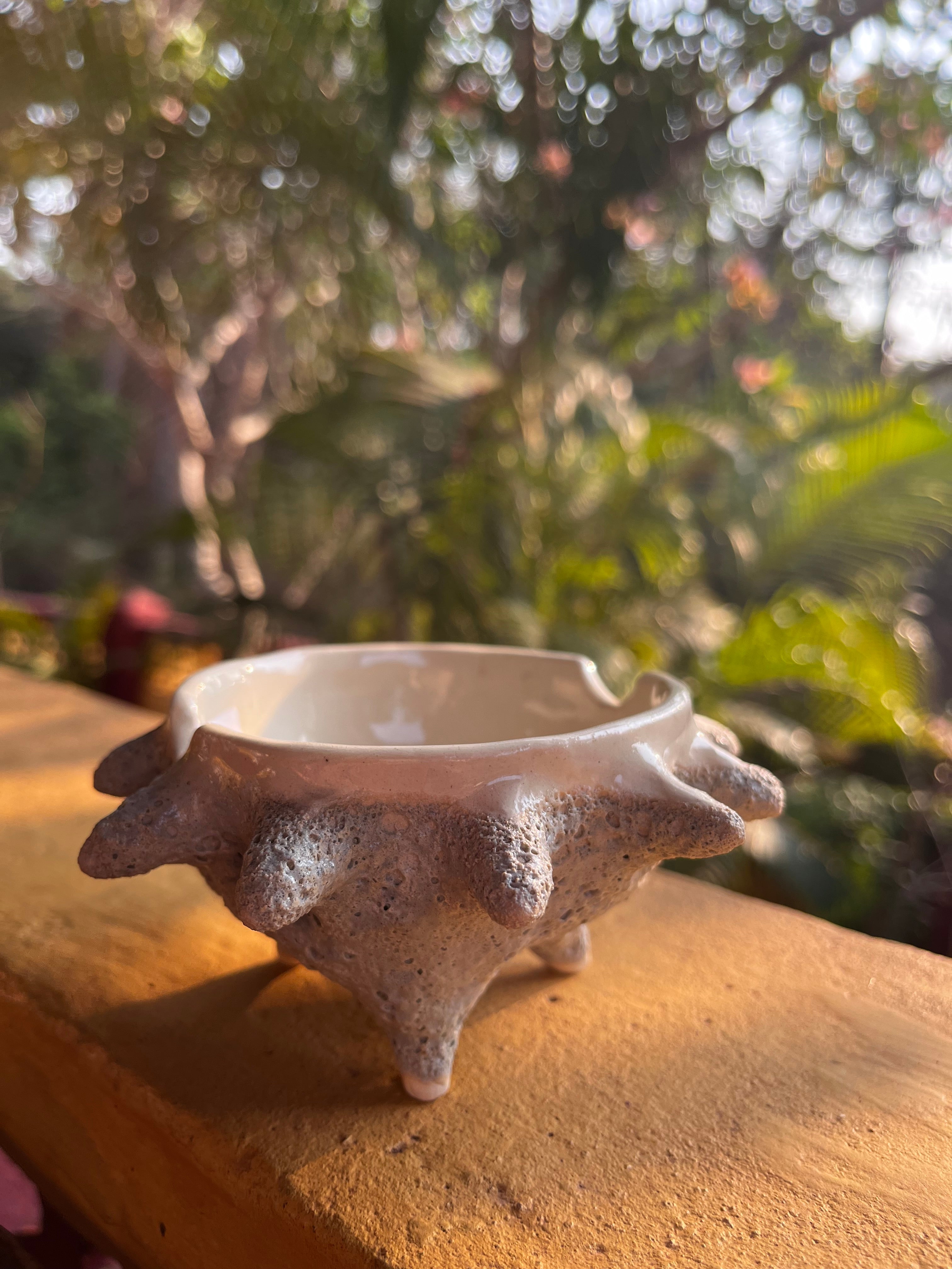 Coral Ashtray