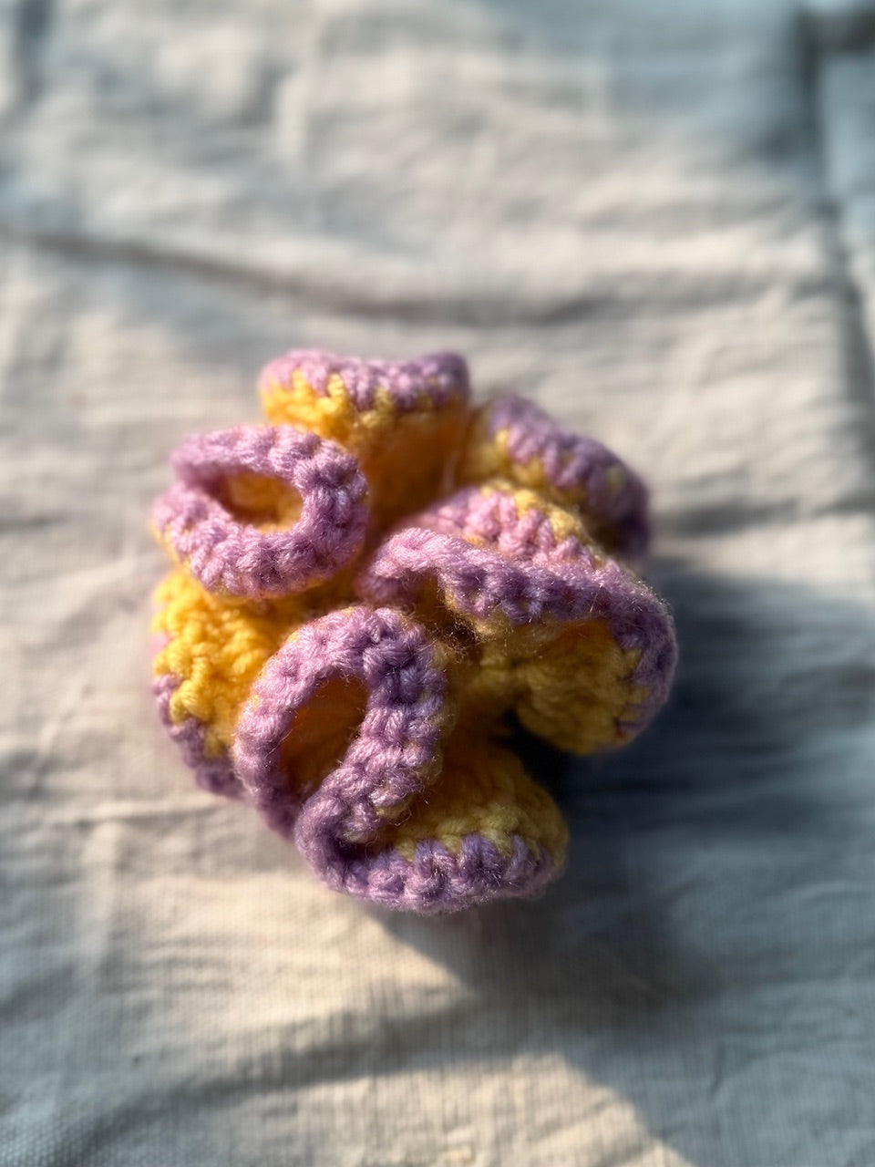 Crochet Scrunchies With Border