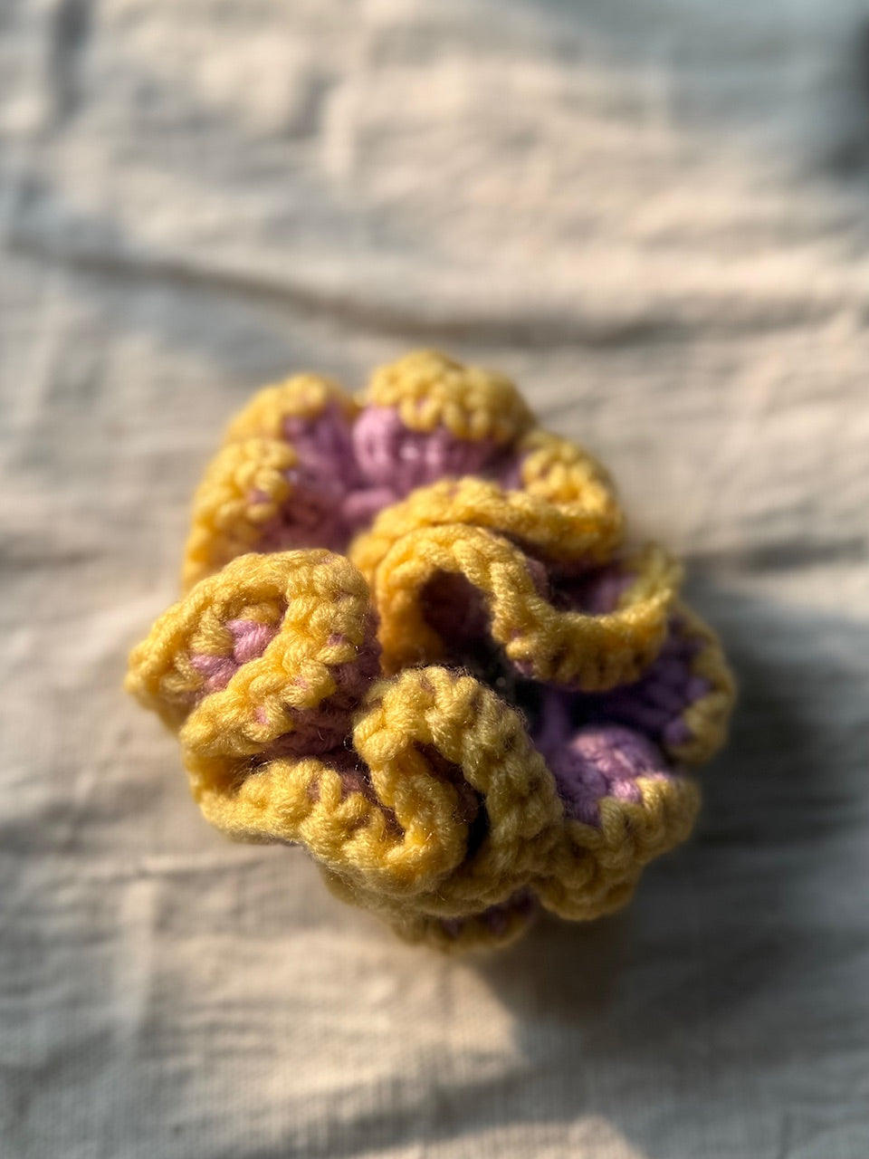 Crochet Scrunchies With Border