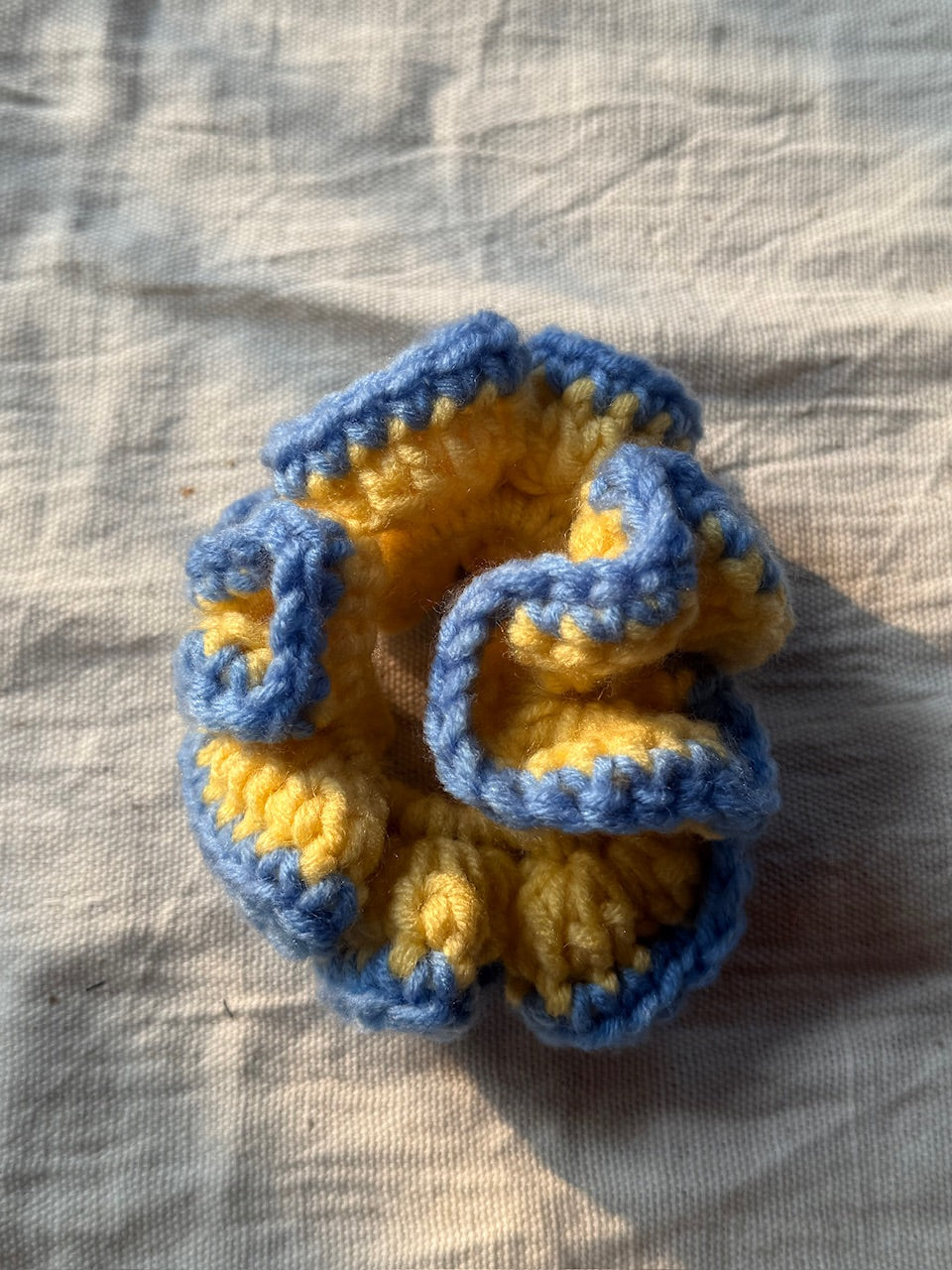 Crochet Scrunchies With Border