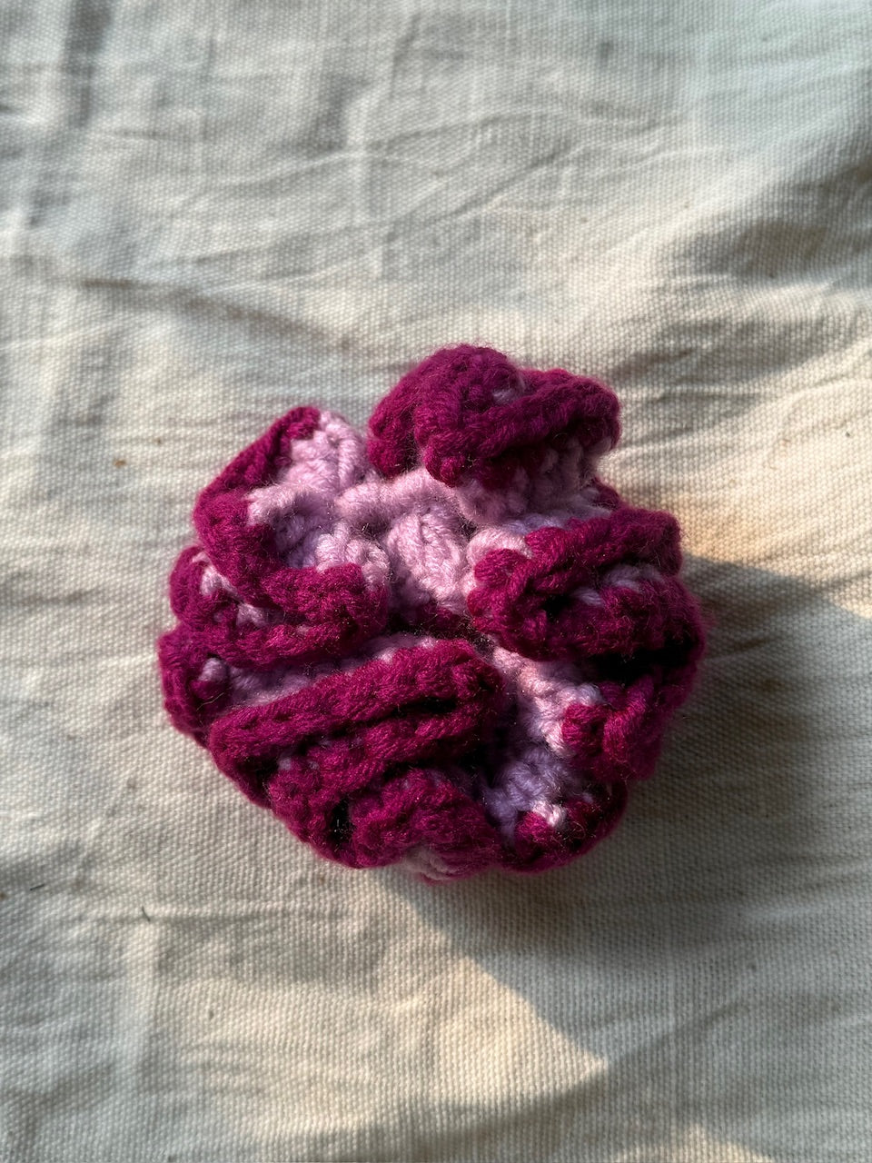 Crochet Scrunchies With Border