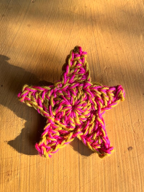 Star Brooch