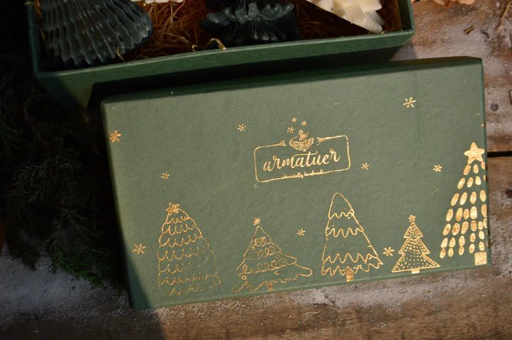 Fir Trees in a Gift Box