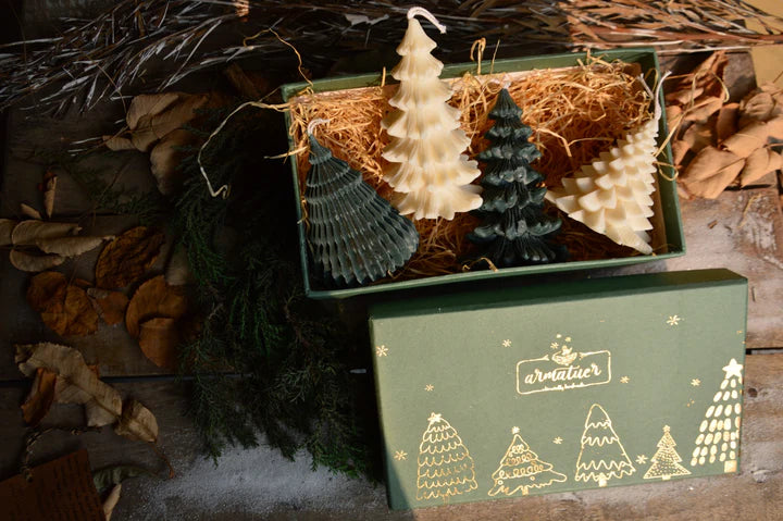 Fir Trees in a Gift Box